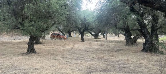  قطعة أرض في Zakynthos, Greece رقم 8574 9