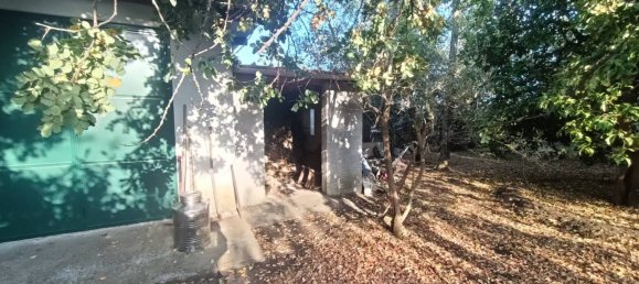 Villa de 3 dormitorios en Acireale, Italy No. 335319 19