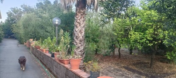 Villa de 3 dormitorios en Acireale, Italy No. 335319 20