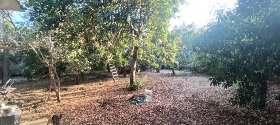 Villa de 3 dormitorios en Acireale, Italy No. 335319 18