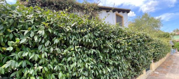 3 bedrooms House in San Teodoro, Italy No. 275455 29