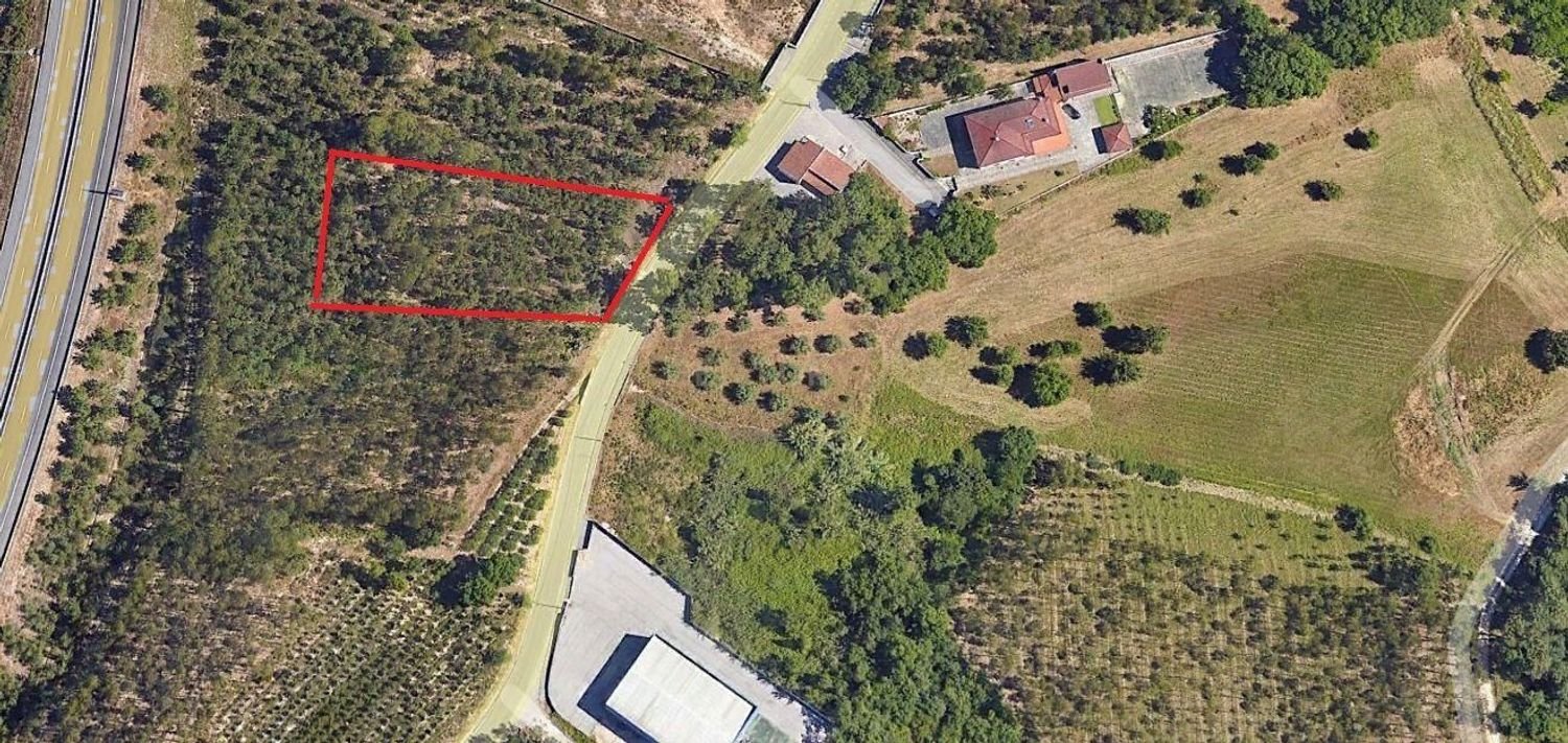  Land in Leiria, Portugal No. 217749