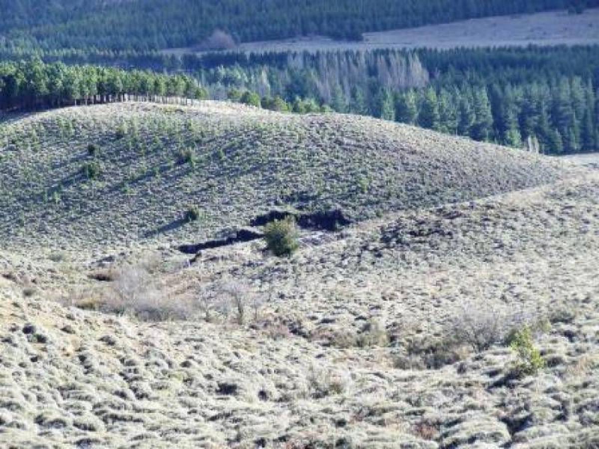  Land in Neuquen, Argentina No. 42874