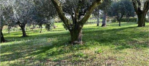 2 rooms Apartment in Cerveteri, Italy No. 213791 47