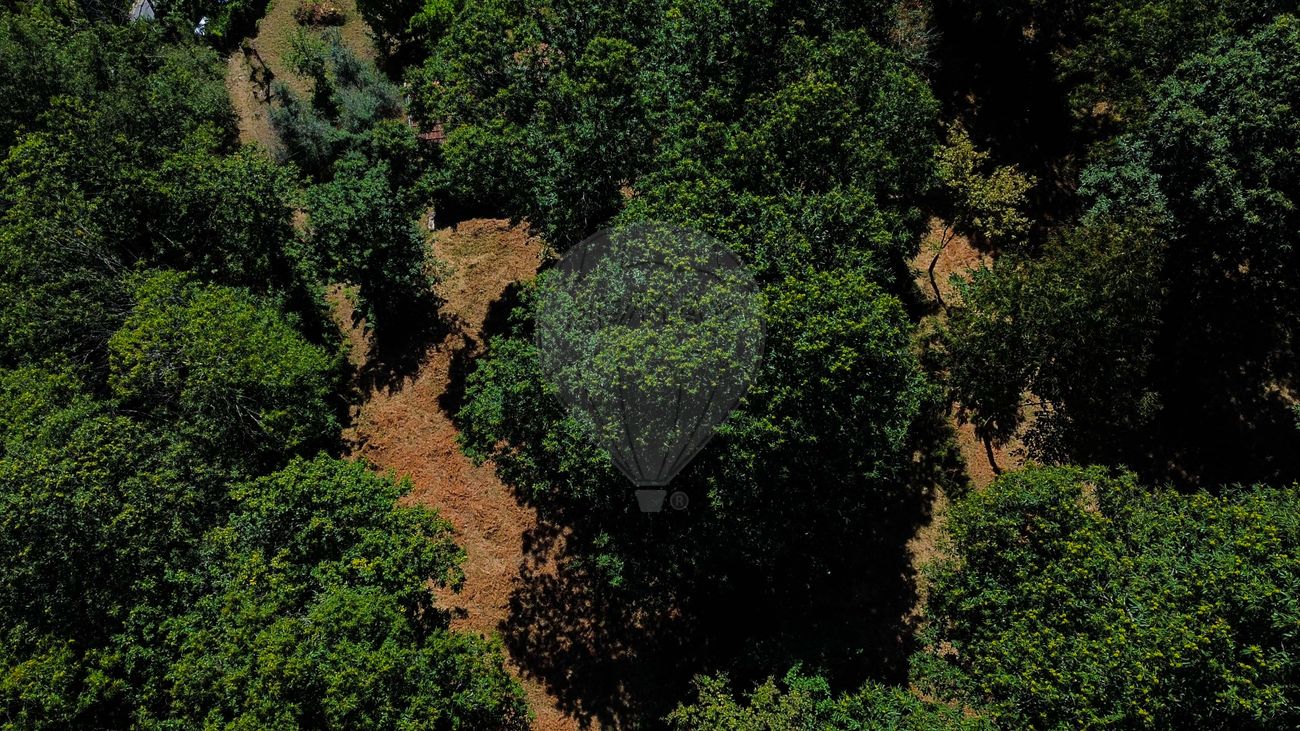 Casa T2 em Cinfães, Portugal N.º 186237