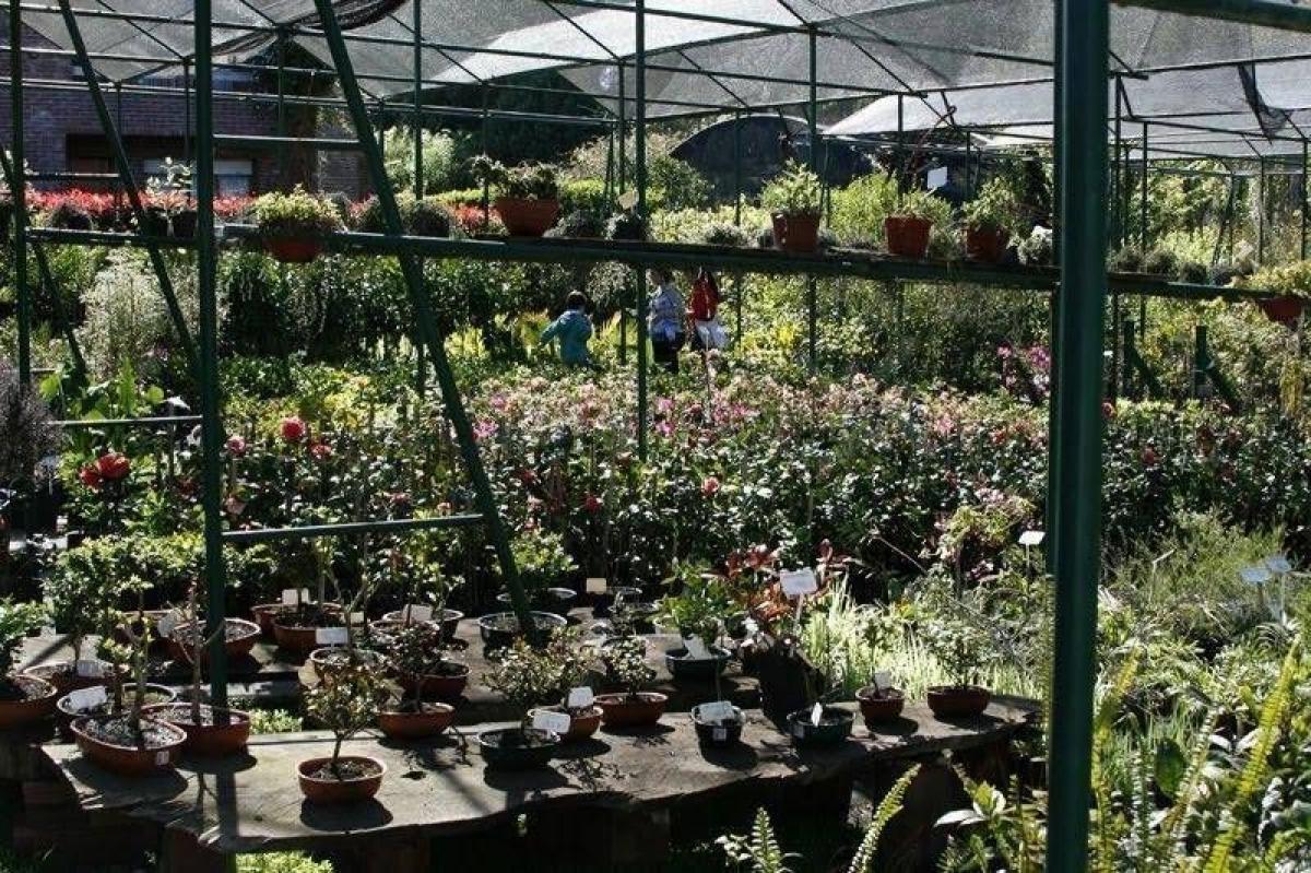  Land in Malvinas Argentinas, Argentina No. 50729