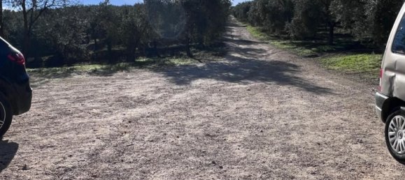 6 Schlafzimmer Haus in Ronda, Spain, Nr. 86578 37