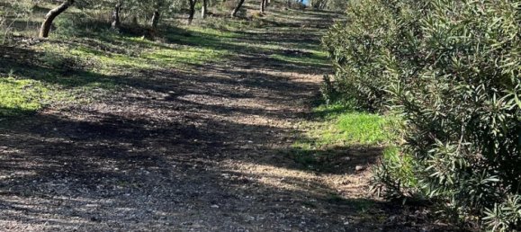 6 Schlafzimmer Haus in Ronda, Spain, Nr. 86578 38