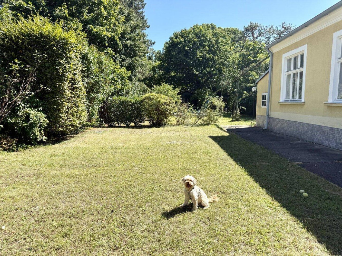 8 rooms Villa in Hietzing, Austria No. 234695