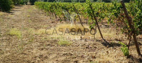 2 bedrooms House in Quarteira, Portugal No. 190568 18