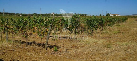 2 bedrooms House in Quarteira, Portugal No. 190568 14