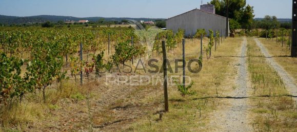 2 bedrooms House in Quarteira, Portugal No. 190568 12
