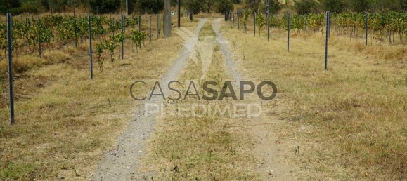 2 bedrooms House in Quarteira, Portugal No. 190568 22