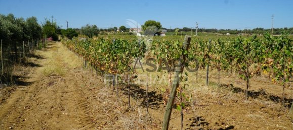 2 bedrooms House in Quarteira, Portugal No. 190568 15