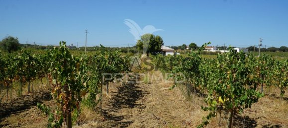 2 bedrooms House in Quarteira, Portugal No. 190568 17