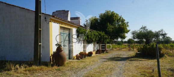 2 bedrooms House in Quarteira, Portugal No. 190568 3