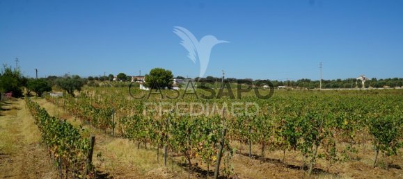 2 bedrooms House in Quarteira, Portugal No. 190568 16