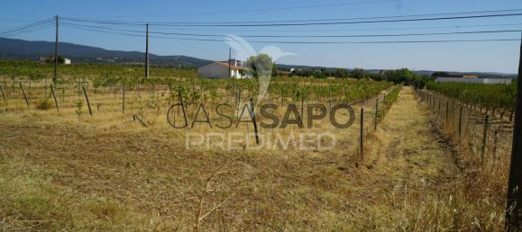 2 bedrooms House in Quarteira, Portugal No. 190568 21