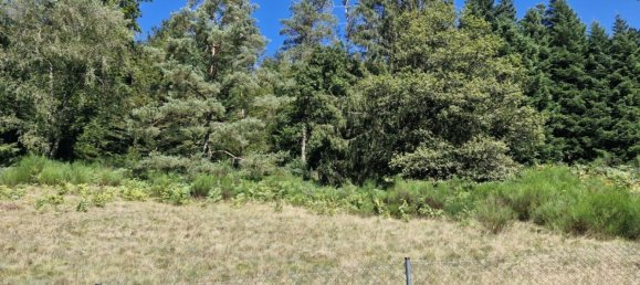 Terreno em Le Tholy, France 1995 m² N.º 254181 4