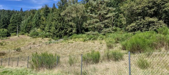 Terreno em Le Tholy, France 1995 m² N.º 254181 6