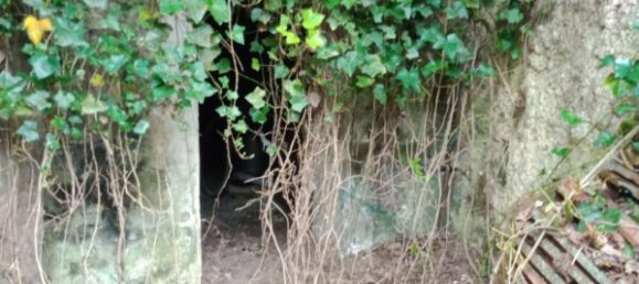 3 غرف نوم منزل في La Ferte-Milon, France رقم 233789 10