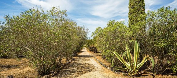 15 bedrooms Castles in Lagoa, Portugal No. 144087 31