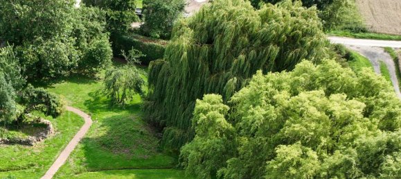 16 chambres Bâtiment à Mayen-Koblenz, Germany No. 360218 4