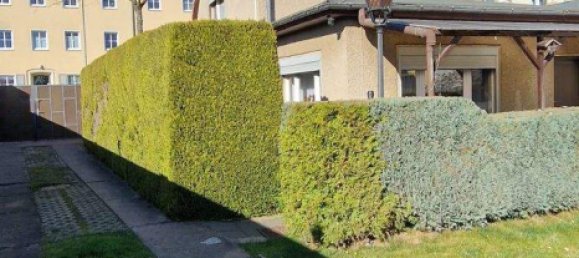 6-Zimmer Bauernhof in Potsdam, Germany, Nr. 319689 7