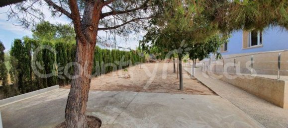 Дом с 4 спальнями в Екла, Испания № 94855 27