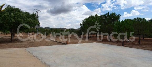 Дом с 4 спальнями в Екла, Испания № 94855 29