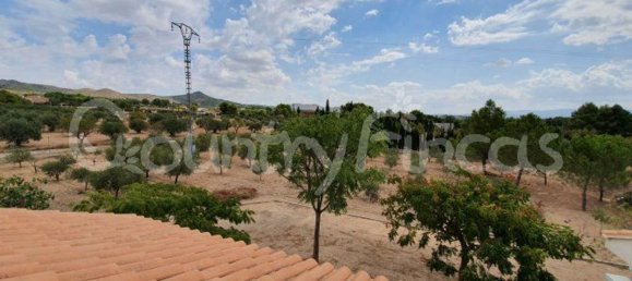 Дом с 4 спальнями в Екла, Испания № 94855 43