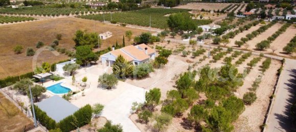 Дом с 4 спальнями в Екла, Испания № 94855 18