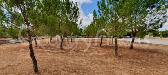 Дом с 4 спальнями в Екла, Испания № 94855 24