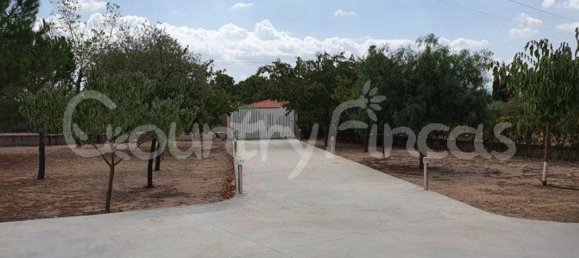 Дом с 4 спальнями в Екла, Испания № 94855 28