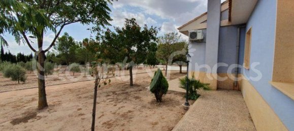 Дом с 4 спальнями в Екла, Испания № 94855 26