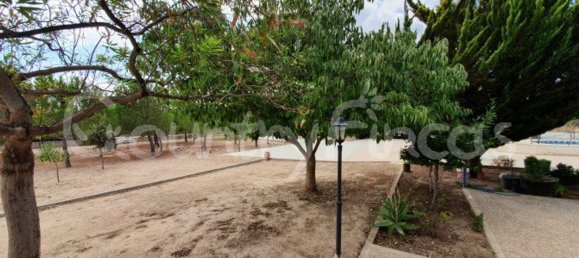 Дом с 4 спальнями в Екла, Испания № 94855 25