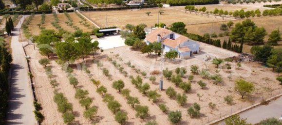 Дом с 4 спальнями в Екла, Испания № 94855 37