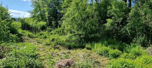 2 rooms House in Tullnerbach, Austria No. 18695 15