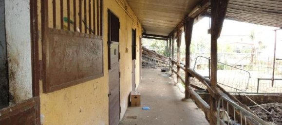 6 rooms House in Palermo, Italy No. 219790 22