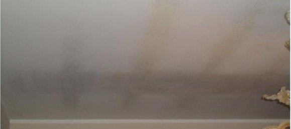 6 rooms House in Palermo, Italy No. 219790 48