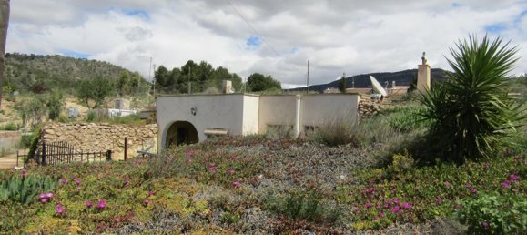 Casa T3 em La Romana, Spain N.º 98182 14