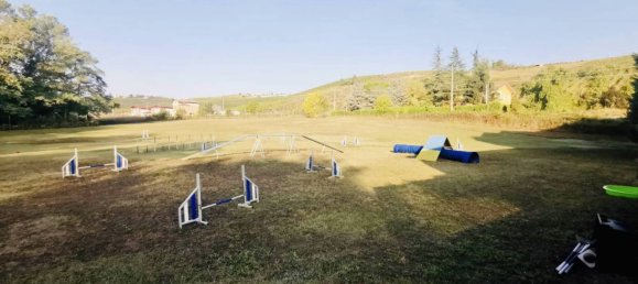 4 bedrooms House in San Damiano al Colle, Italy No. 88904 3