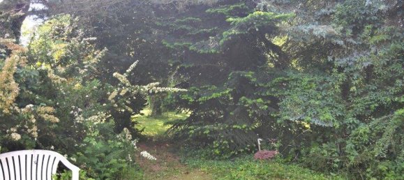 5 rooms Bungalow in Kobersdorf, Austria No. 158046 7