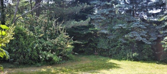 5 rooms Bungalow in Kobersdorf, Austria No. 158046 9