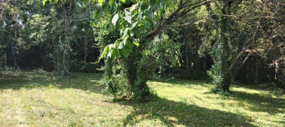 5 rooms Bungalow in Kobersdorf, Austria No. 158046 10