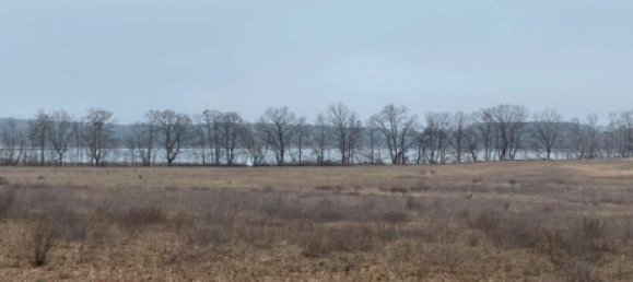 2 غرف نوم بنغالو في Potsdam-Mittelmark, Germany رقم 238771 17