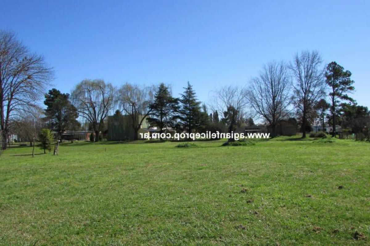  Land in Lobos, Argentina No. 30988