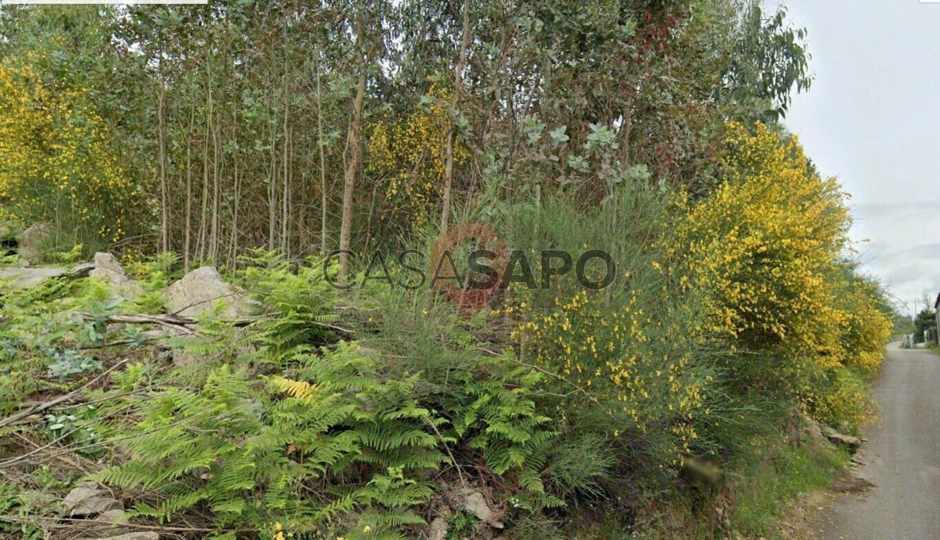  Land in Barbeita, Portugal No. 327981