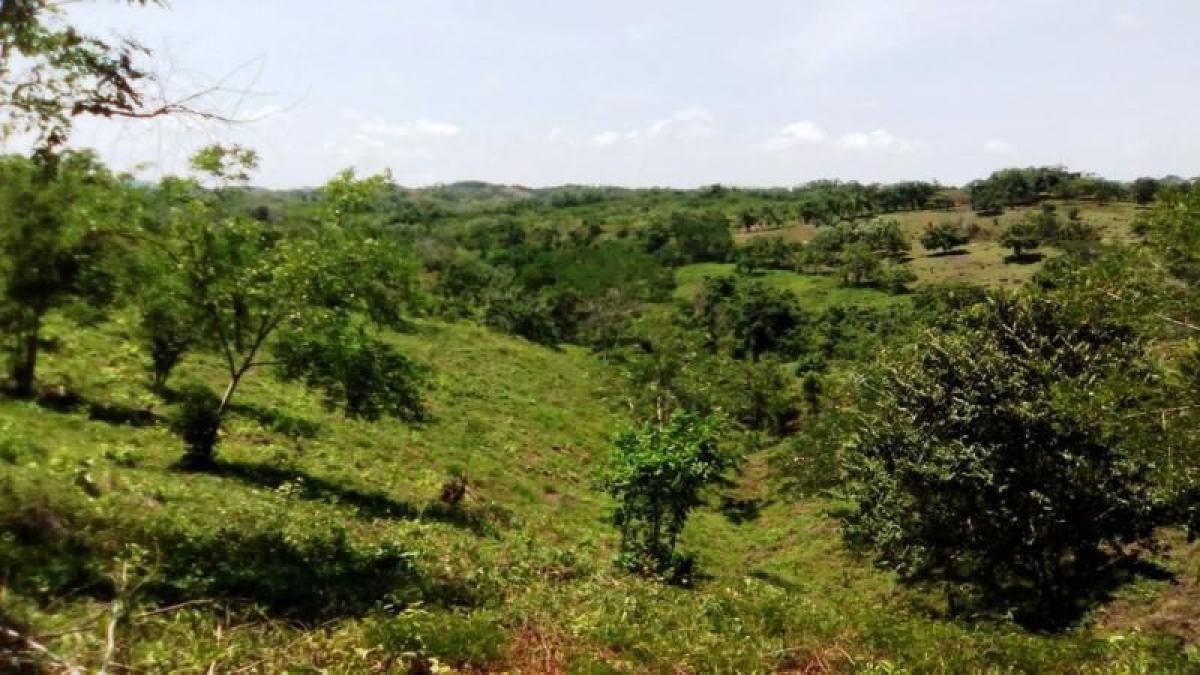 4 bedrooms House in Atlantico, Colombia No. 2906