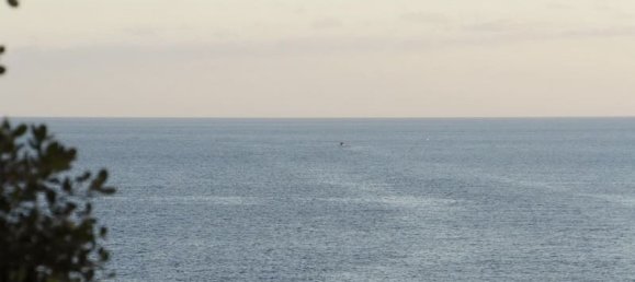 3 Schlafzimmer Wohnung in Capdepera, Spain, Nr. 177409 2